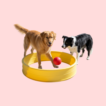 Pit Ball Dog Exercise Toy | Active Dog Fitness