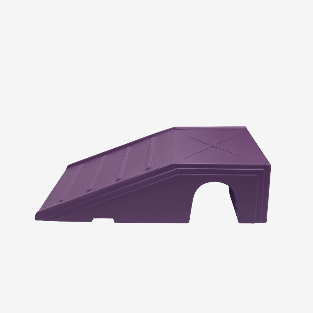 Mini Dog Agility Ramp for Puppies and Small Dogs
