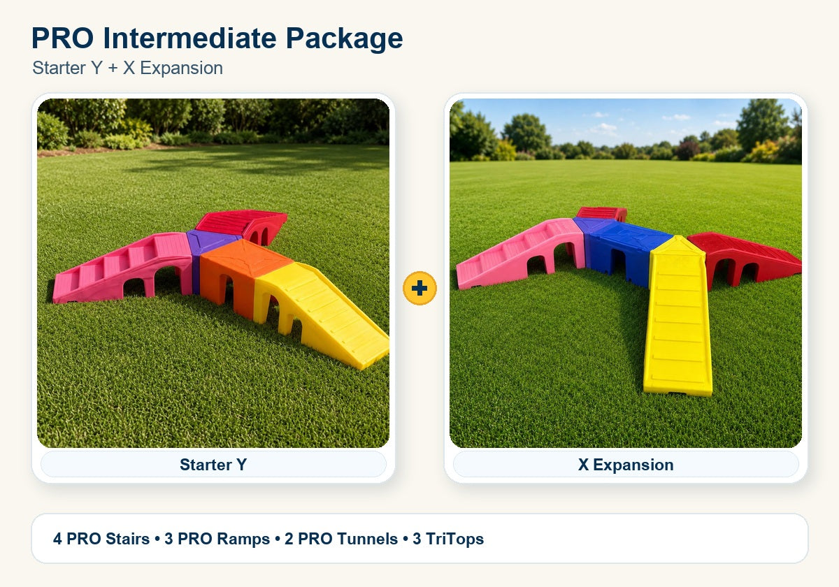 PRO Intermediate 12-piece full-size commercial playground package preview