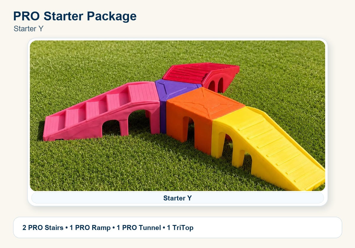 PRO Starter 5-piece full-size commercial playground package preview